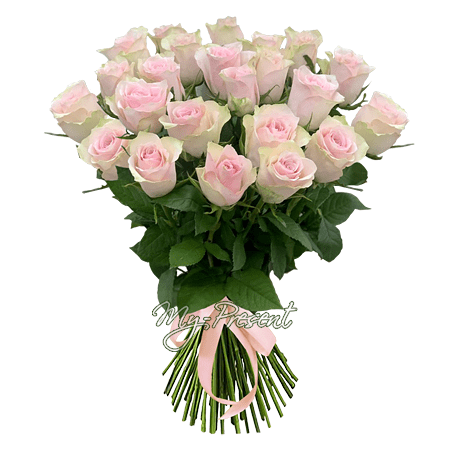 Букет из розовых роз (60 см.)